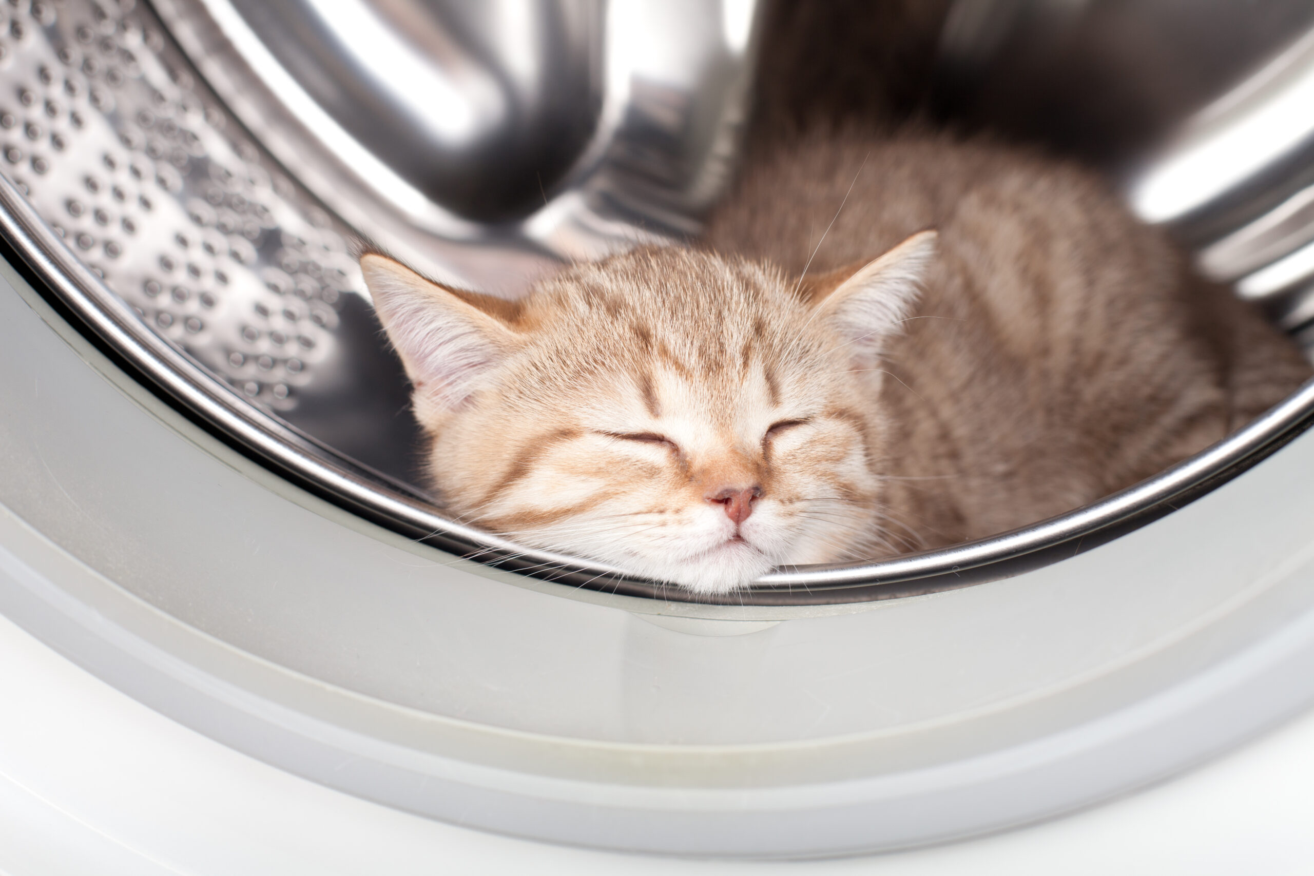5 Surprising Items That Should Not Go into the Washer