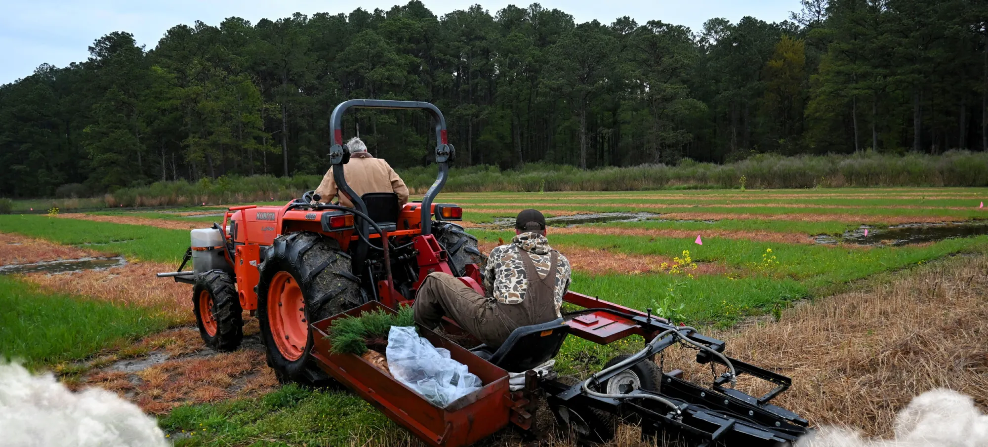 Doing Laundry, Doing Good: How FMB is Offsetting Carbon One Load at a Time